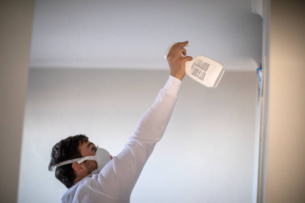 Best Attic Mold Remediation in Houma, LA